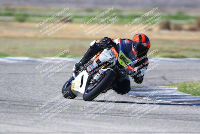 media/Feb-23-2025-CRA (Sun) [[c5183c138a]]/Race 3/
